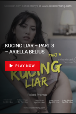 Nonton Kucing Liar Part 3 (2023) Sub Indonesia