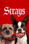 Nonton Strays (2023) Sub Indonesia