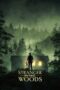 Nonton Stranger in the Woods (2024) Sub Indonesia