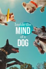 Nonton Inside the Mind of a Dog (2024) Sub Indonesia