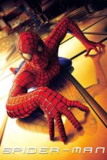 Nonton Spider-Man (2002) Sub Indonesia