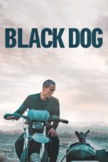 Nonton Black Dog (2024) Sub Indonesia